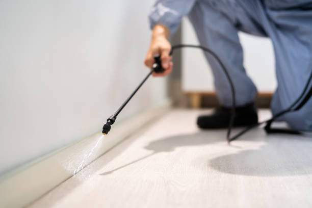 Licensed Fumigation Services service in Rolling Hills Estates, CA - Nex Pest Control
