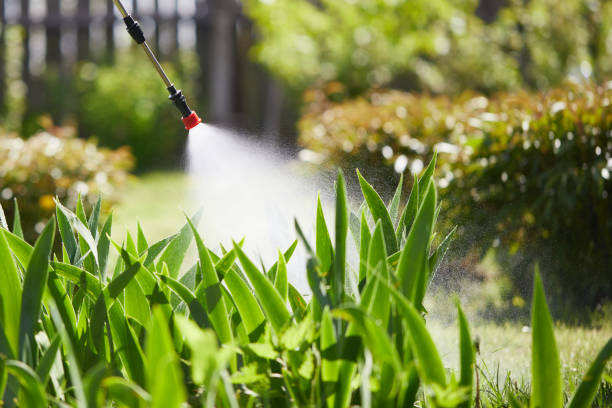 24/7 Emergency Fumigation Services experts in Rolling Hills Estates, CA