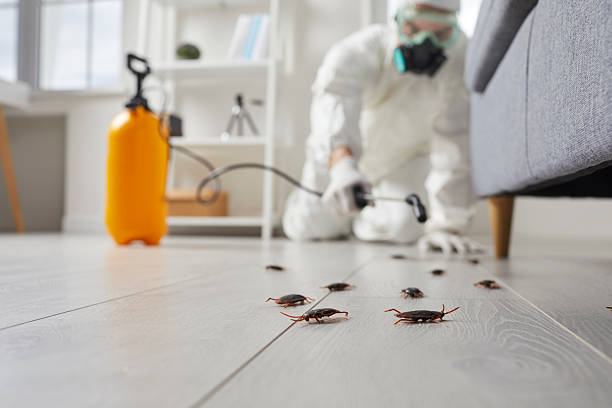 Trusted Fumigation Services service in Rolling Hills Estates, CA - Nex Pest Control