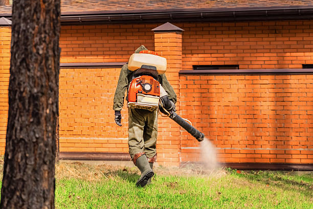 Trusted Ant Control service in Rolling Hills Estates, CA - Nex Pest Control